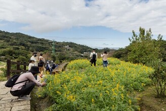 樟樹步道花海起跑活動迎新春