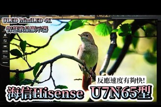 黑神話悟空專屬調校 海信Hisense 液晶顯示器 ULED MiniLED 4K  原生144Hz Game ModeVIDAA 操作平台AI助理AirPlay 2【束褲開箱】