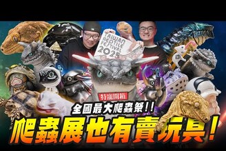 【特寵開箱】爬蟲展也有賣玩具全國最大2025爬蟲祭來囉！台灣爬蟲祭Mr.Joe Hobby.tv