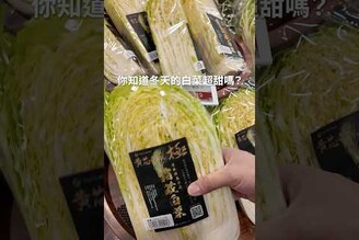 跟梨子一樣甜的日本霜藏白菜，冬季限定台灣超市販售了！ft.白菜豬肉水餃食譜  日本男子的家庭料理 TASTY NOTE