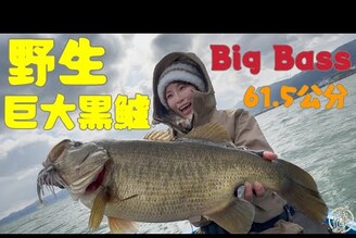 【釣魚日記】61.5公分！這是什麼怪物體型......看完這部你也可以拿到夢想中的大物.....Taiwan girl fishing釣采蓁 Patti 黑鱸