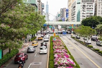 杜鵑花開滿城 賞花最應時