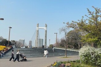 正值日本櫻花盛開！精選3處東京在地人必去的賞櫻景點