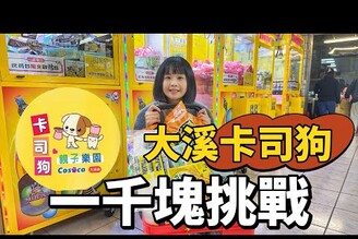 一千塊挑戰夾娃娃！大溪卡司狗到底好夾嗎！