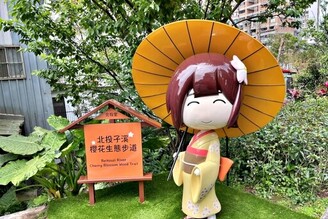 北投子溪櫻花林生態步道散步去