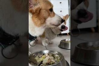 10歲後，每天吃得都超養生的兩位