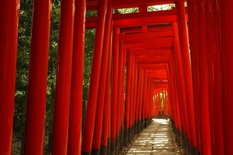 日本三大杜鵑花祭 “文京杜鵑花祭”