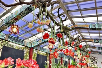 士林官邸「孤挺花展」免費參觀