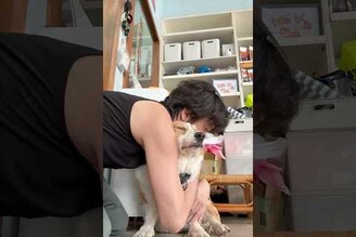 老年後開始害怕下雨跟雷聲的多多但大大雷聲般的打呼他不怕