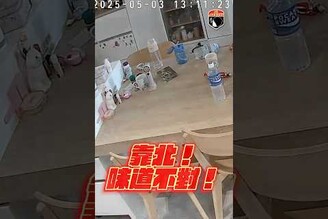 那天就這樣默默地，把人生喝貓尿的成就達成了