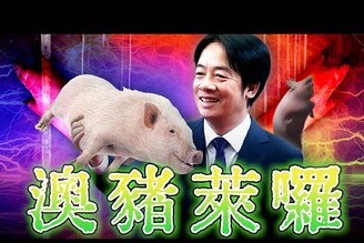 澳洲豬肉檢出萊克多巴胺Skype併入Teams老鵝特搜1560