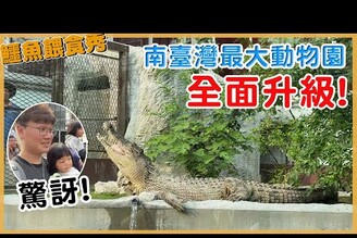 南臺灣最大動物園升級啦！非洲表演鱷魚餵食秀震撼登場！頑皮世界完整攻略【Bobo TV】【Bobo TV】