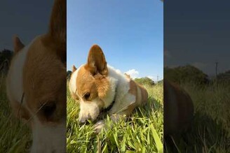 生活就是，享受每一日擁有的時光