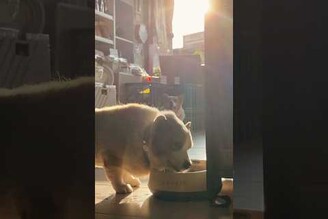 一眨眼我以為是阿酒在喝水