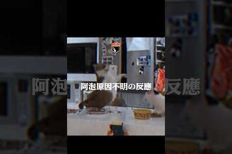 今晚，家裡發生了可怕事