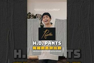 Needles H.D. Buggy Pants 新款開箱比較
