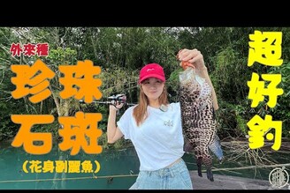【釣魚日記】私人秘密菜園曝光什麼妖魔鬼怪都逃不出我的手掌心..Taiwan girl fishing釣采蓁 Patti