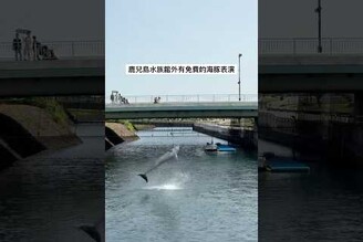 鹿兒島水族館外有免費的海豚表演！平日10：3012：3014：30，週六日及國定假日11：3013：3015：00。
