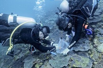 台達電分享聯合國生物多樣性大會成果 目標2025年復育1萬株珊瑚