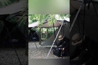 夏天雨後茂密衫樹林露營