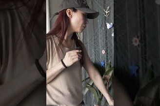 最美的旭海營地，面海第一排，一人車宿只要500。