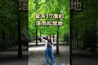 夏天氣溫只有17度的避暑營地，海拔1100落羽松遮陽。