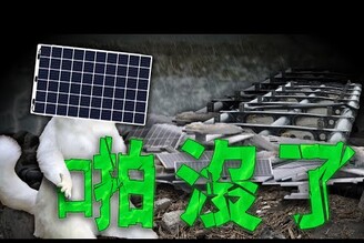 颱風停電災情光電板解體馬斯克成立美國黨老鵝特搜1604