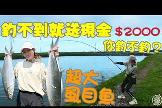 【釣魚日記】打龜給2000的池子你釣不釣.......扛不起來的漁獲還要下水去搬.....Taiwan girl fishing釣采蓁 Patti