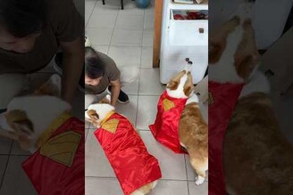 怎麼感覺這倆超人有點兩光