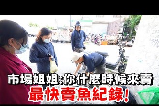 船釣只要1000！釣了一桶魚拿去市場賣！究竟可以賺多少！