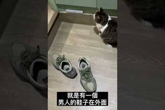 一秒惹怒老婆，鞋子不收