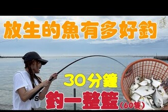 【釣魚日記】路過遇到紅沙大軍壓境.單兵該如何處置每個人都竿竿落水咬.Taiwan girl fishing釣采蓁 Patti