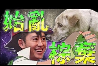 前新竹市犬棕棕遭棄養普發一萬傳政院不覆議T1與Faker續約老鵝特搜1619
