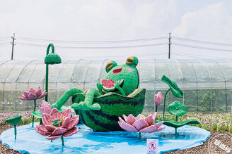 桃園蓮花季裝置拍照夯 賞花、拍照均可，但部份請近觀，不可褻玩焉！