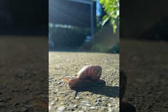 蝸牛：我當時害怕極了