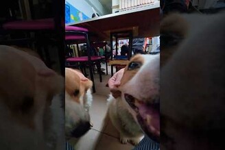 你們要人摸的地方也太多