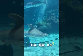 我們竟然在XPark玩了6小時！兄妹完全不想回家