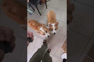 我就知道你們有目的