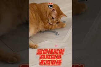 當你技能樹技能只點血量不點敏捷