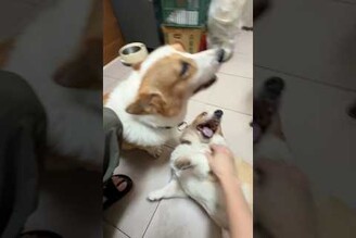 突然覺得自己炙手可熱