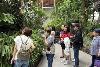 探索蕨類的生態奧秘
