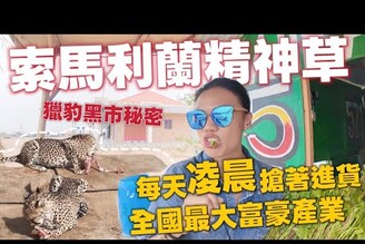 索馬利蘭的秘密黑市高價出售獵豹全國男人著迷的貨！凌晨搶著進貨Back to Africa Ep4