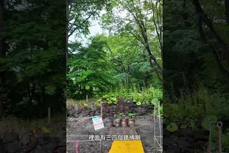 台灣露營欠缺的灰燼處理區，來看看日本怎們做。