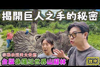 【解密 深山中的巨人之手】宛如侏羅紀世界的山蘇林 竟然藏著泰雅仙境美食