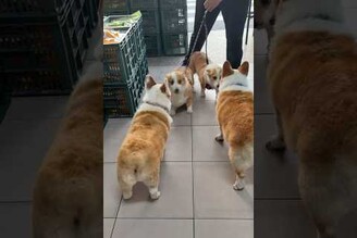 一個超熱情一個看心情