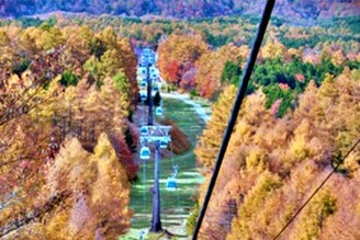 獵人山鹽原紅葉纜車迎來最佳紅葉觀賞期