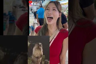 不能說很像，只能說一模一樣！shorts