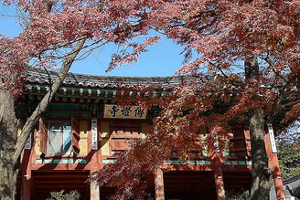 2025 ITF韓國館打造沉浸式體驗 韓食體驗、手作DIY外，還能抽韓國來回機票！