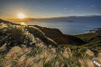 東北角秋遊芒花季即日起登場 東北角玩樂遊「套裝」！