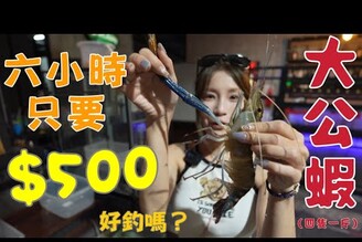 【釣蝦日記】四隻一斤的大公蝦一小時只要100元他們愛吃本土味 Taiwan girl fishing釣采蓁 Patti